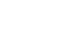 Porsche Porsche