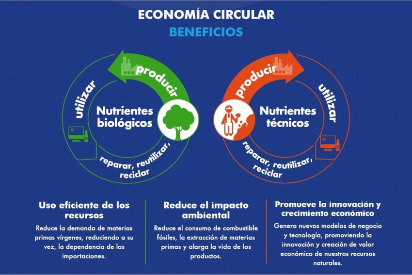 Economía circular y decisión de compra