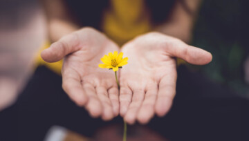 El futuro del fundraising: Cómo superar los desafíos y generar compromiso con los donantes en un mundo hiperconectado El futuro del fundraising: Cómo superar los desafíos y generar compromiso con los donantes en un mundo hiperconectado